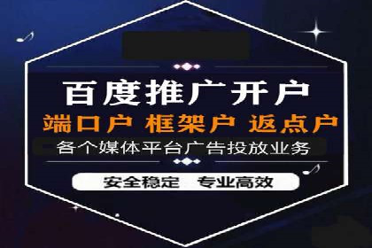 某品牌SEM广告投放的ROI提升案例
